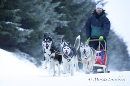 Šediváčkův long 2015